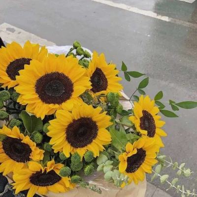 捕鱼达人2 1.3.6安卓版下载