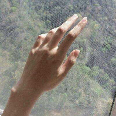 乐虎国际app下载