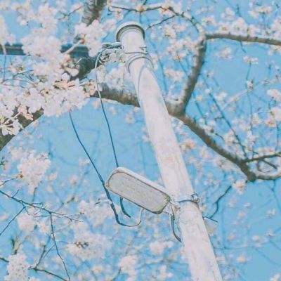 ayx在线登录入口下载手机版