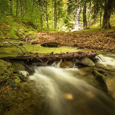 星空体育平台官网下载手机版