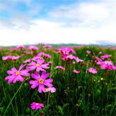 安博.体育下载手机版